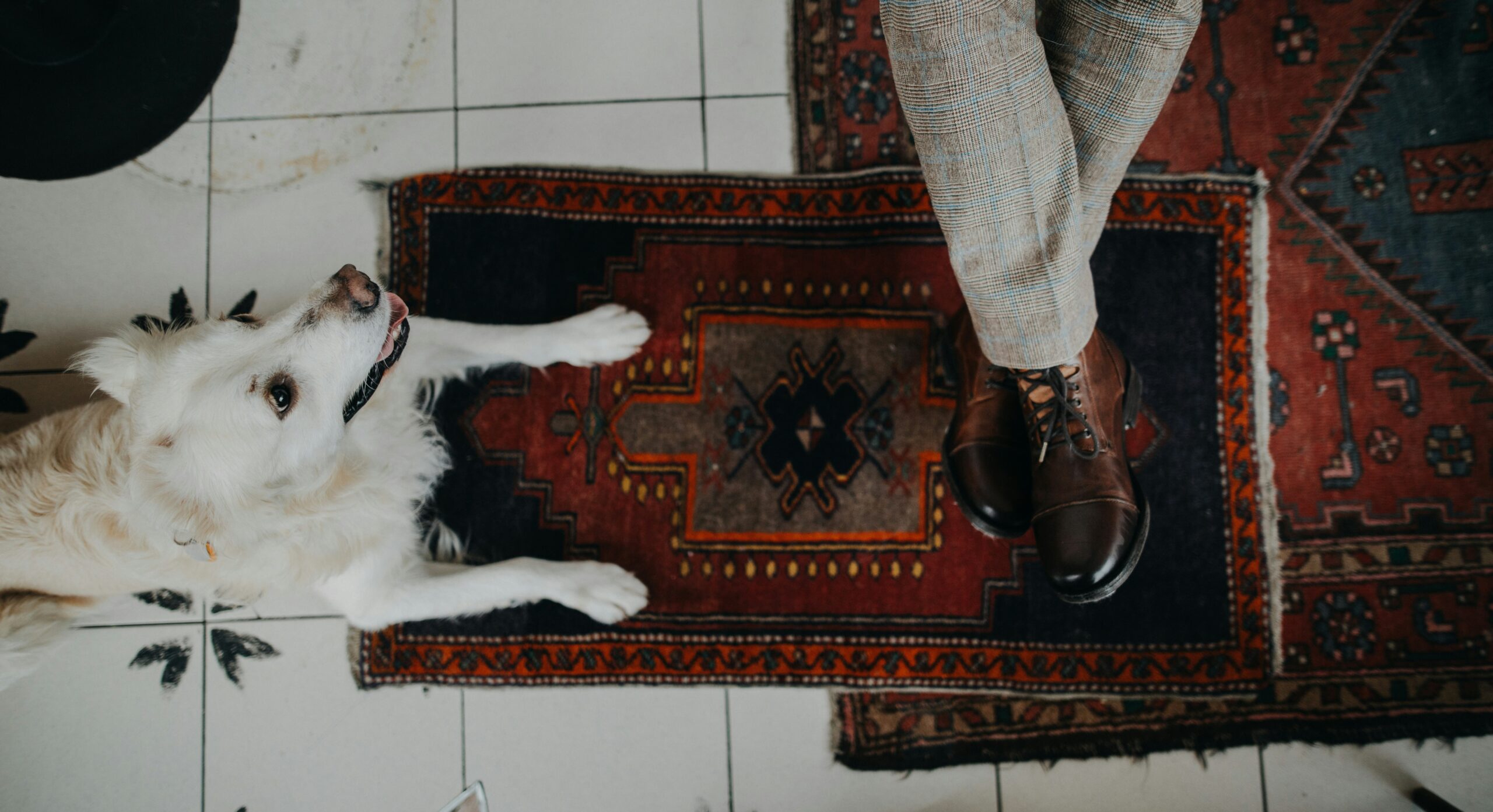 White dog lying on a Persian rug next to a person wearing brown leather shoes – pet-friendly rug in a tiled indoor setting
