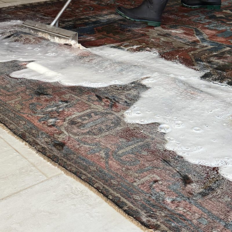Professional oriental rug cleaning and deep washing service in Plano Texas by RugGuys